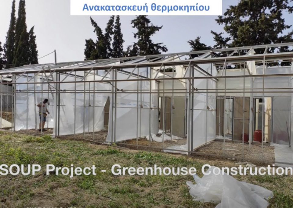This is a frame from a video regarding Greenhouse Reconstruction.
