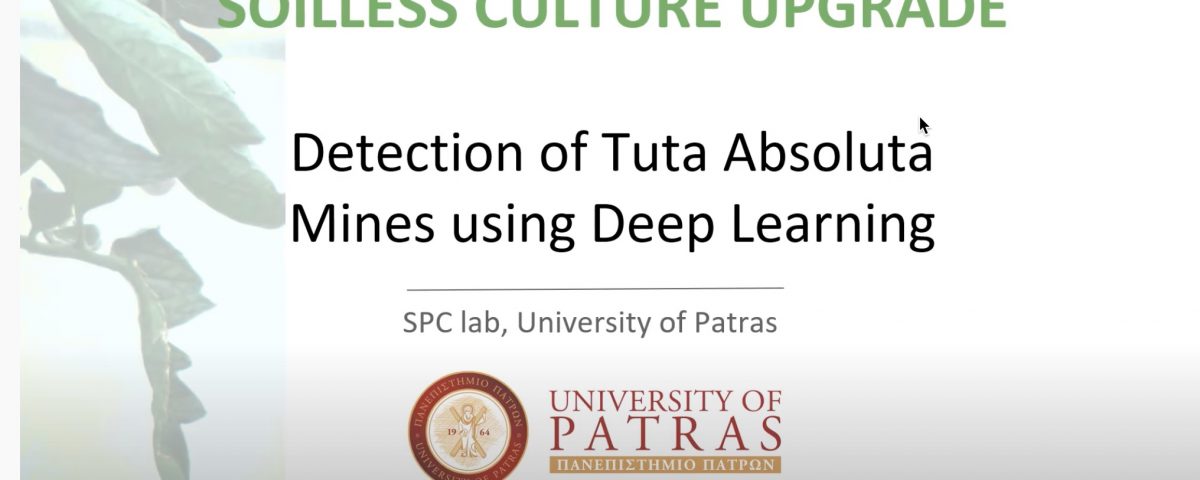 This is a frame from a video regarding Tuta Detection With Deep Learning.