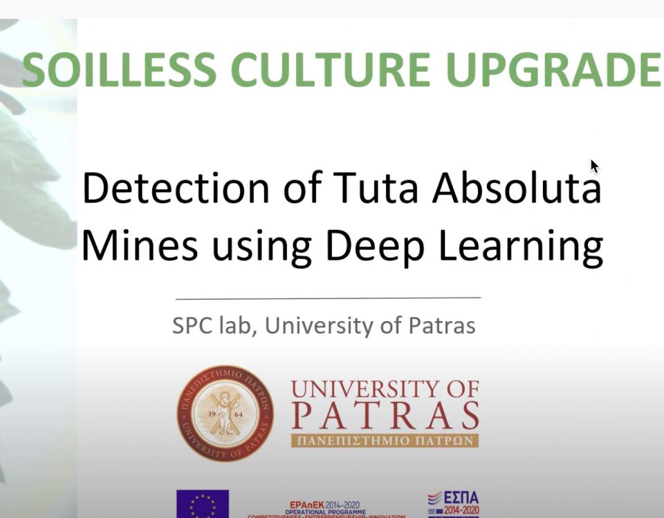 This is a frame from a video regarding Tuta Detection With Deep Learning.