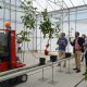 This is an image that shows Demonstration of the pilot greenhouse infrastructure.